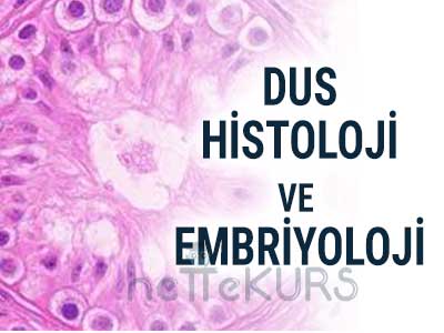 Online DUS Histoloji ve Embriyoloji Dersleri, DUS Histoloji ve Embriyoloji Uzaktan Eğitim Dersleri